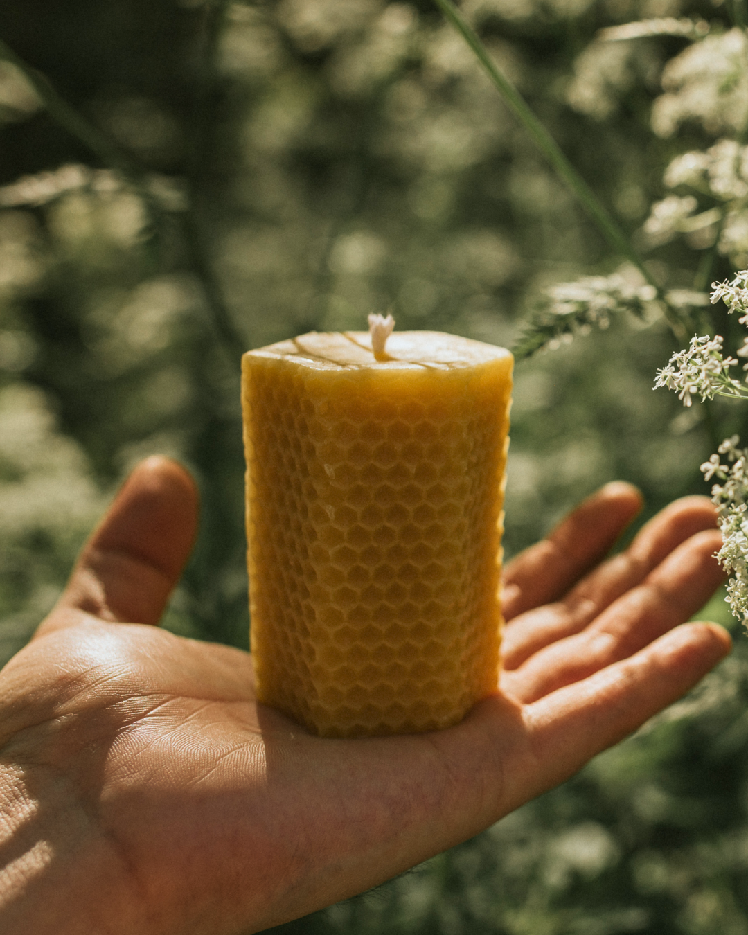Albina Signature Pillar Bundle
