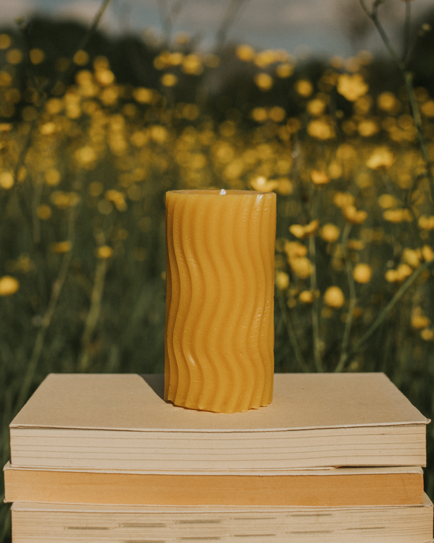 Albina Signature Pillar Bundle